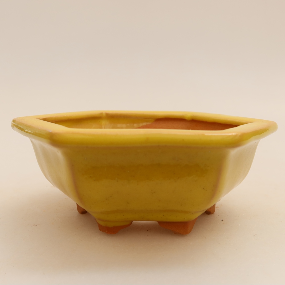 Ceramiczna miska do bonsai 12 x 10,5 x 4 cm, kolor żółty
