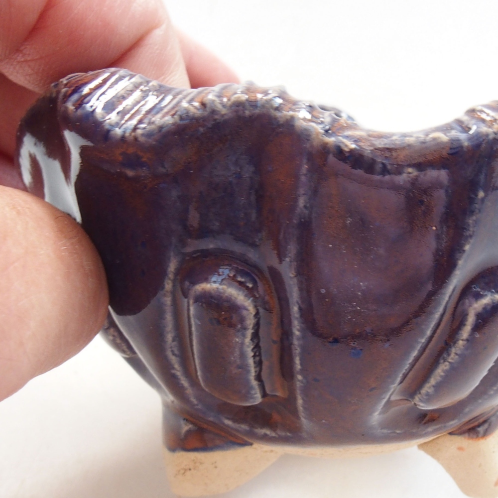 Muszla ceramiczna 8 x 7 x 5,5 cm, kolor niebieski