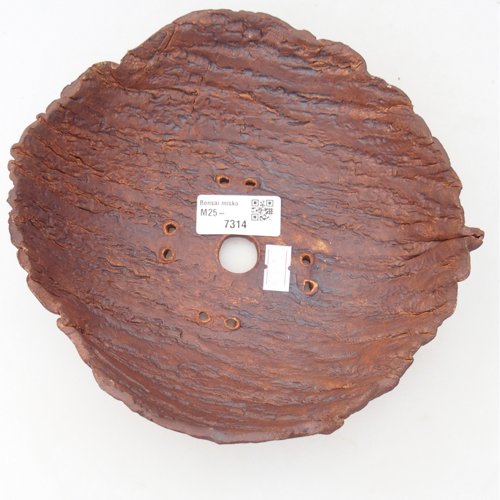 Ceramiczna muszla 19 x 19 x 6,5 cm, kolor brązowy