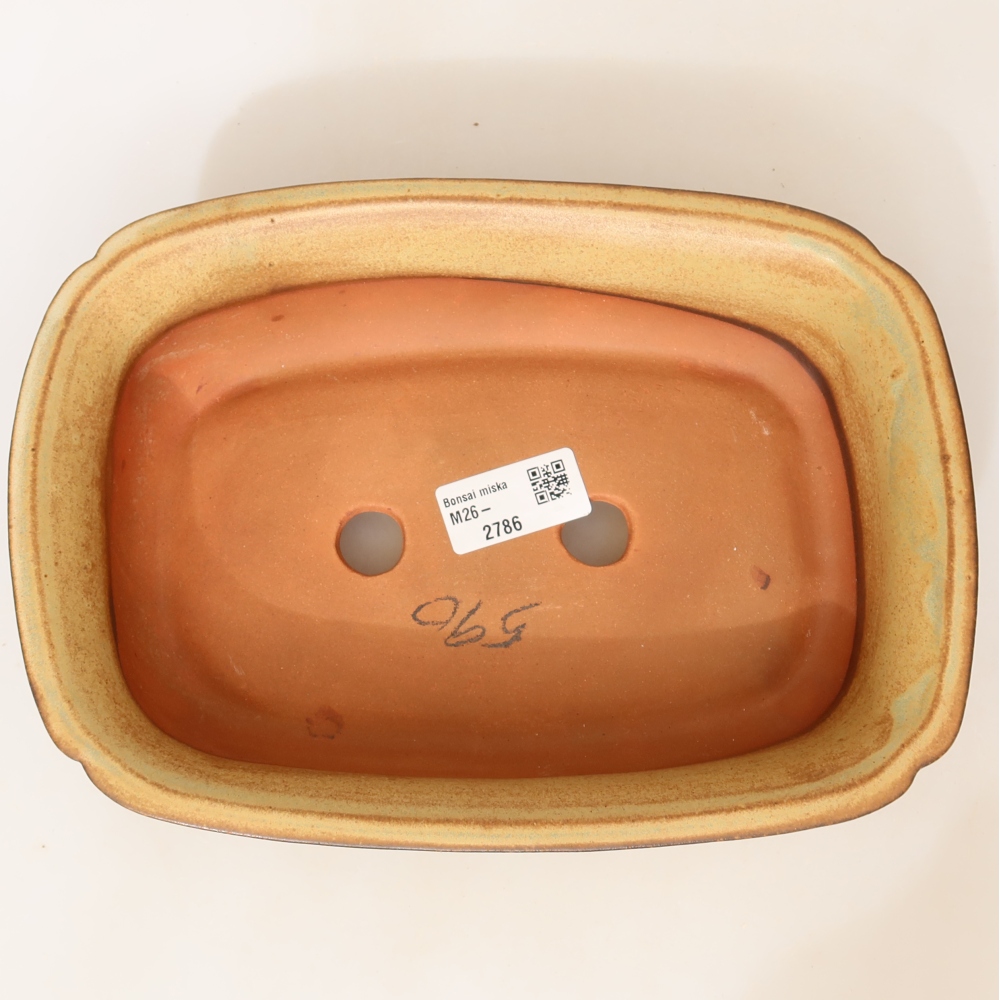 Ceramiczna miska  24 x 17 x 6 cm, kolor zielono-beżowy