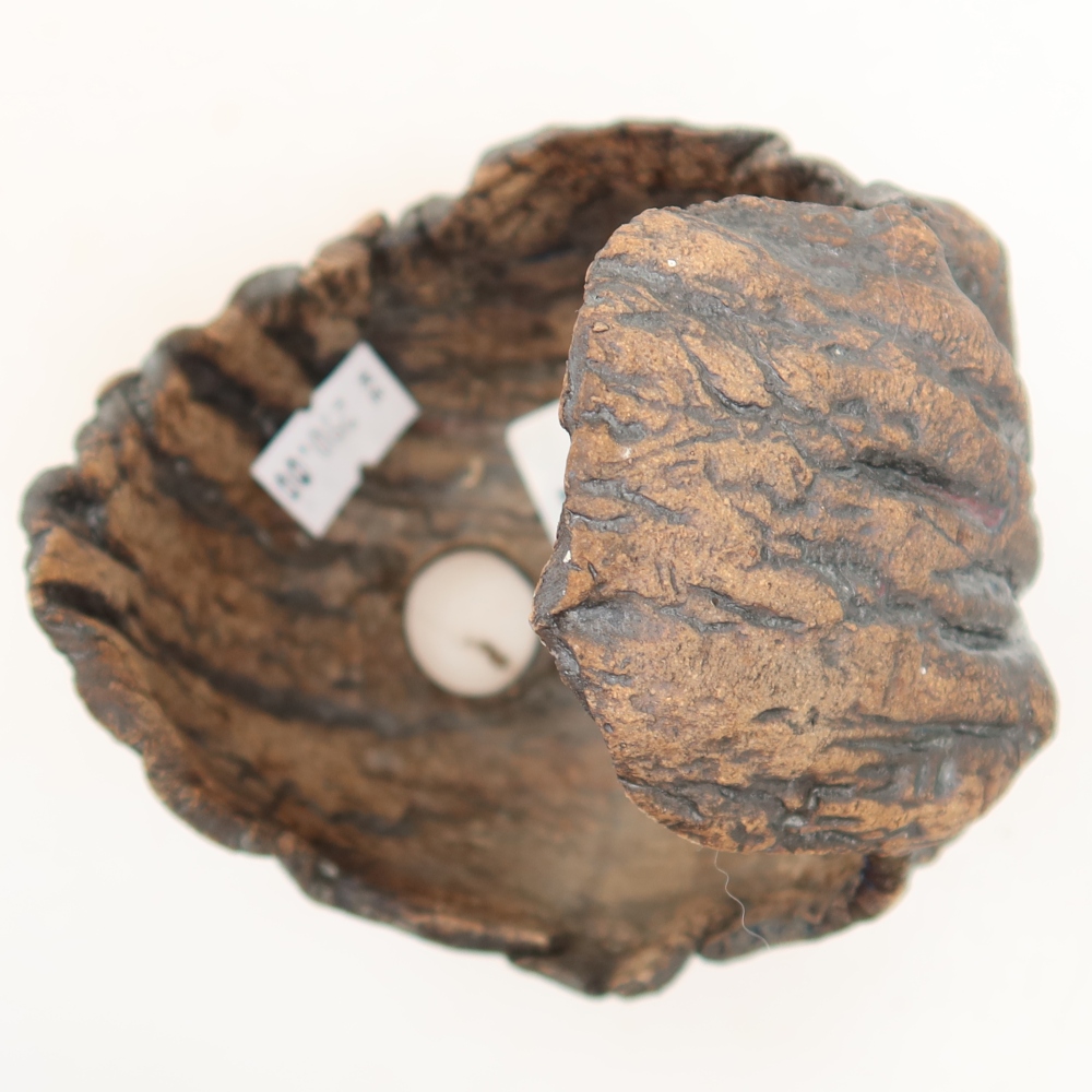 Ceramiczna skorupa  10 x 10 x 11 cm, kolor brązowy