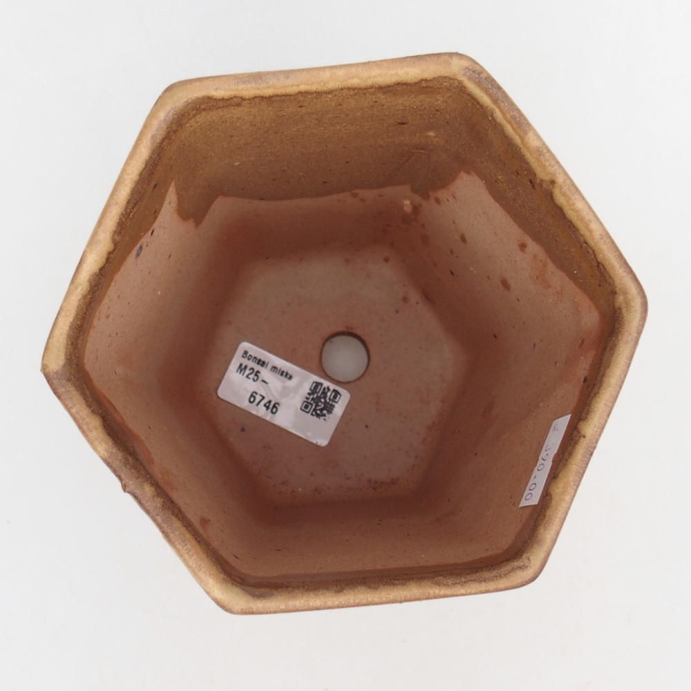 Ceramiczna miska do bonsai 12,5 x 11,5 x 16,5 cm, brązowa