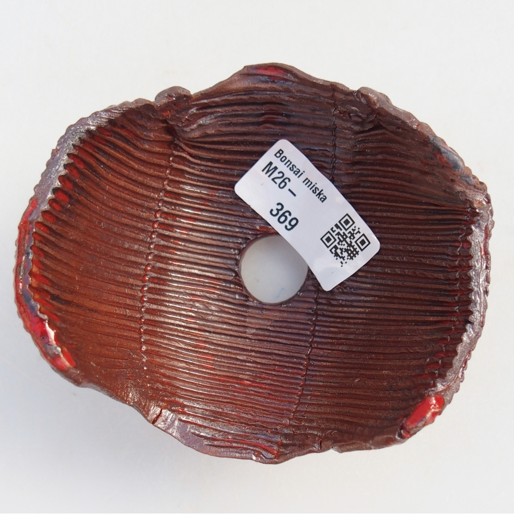 Muszla ceramiczna 10 x 10 x 6 cm, kolor brązowy