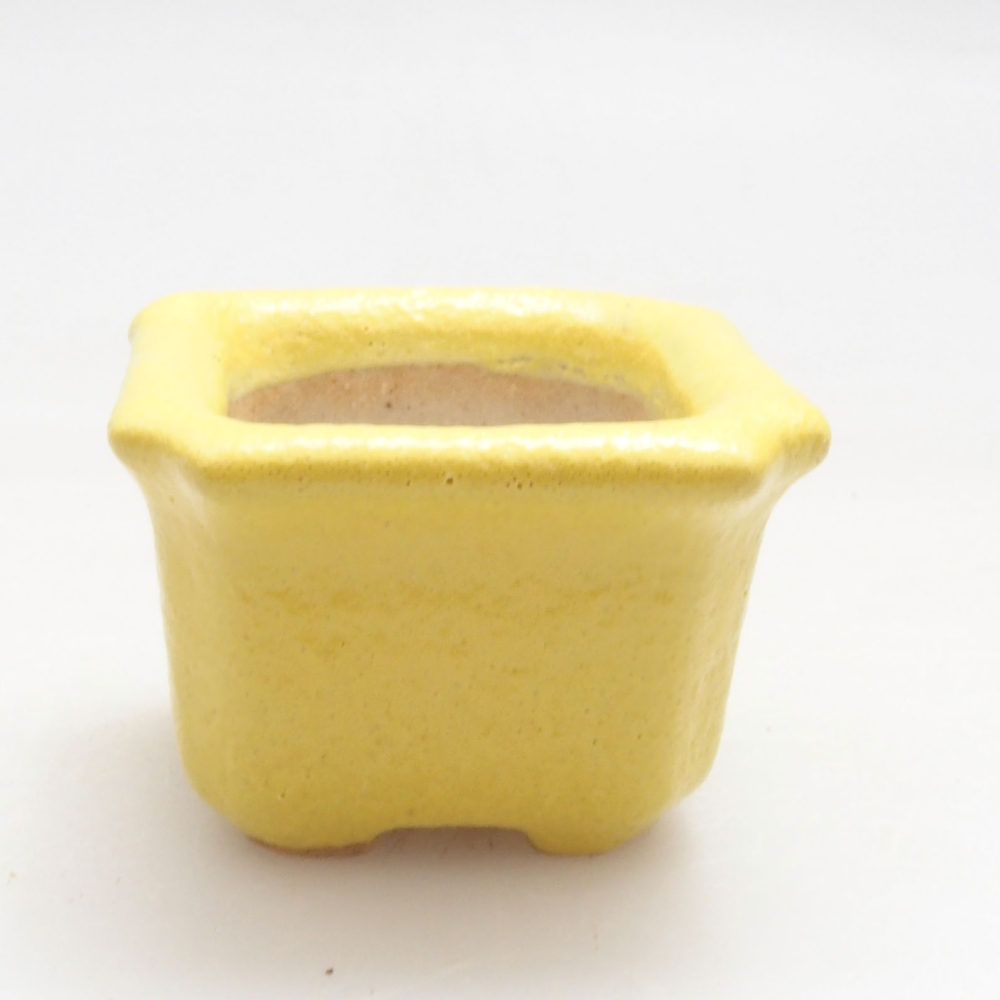 Ceramiczna miska bonsai 3 x 3 x 2 cm, żółta