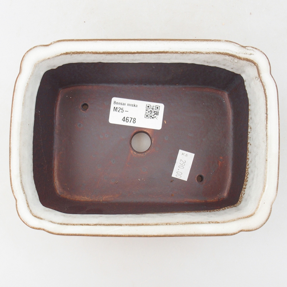 Ceramiczna miska bonsai 17 x 13 x 6 cm, kolor biały