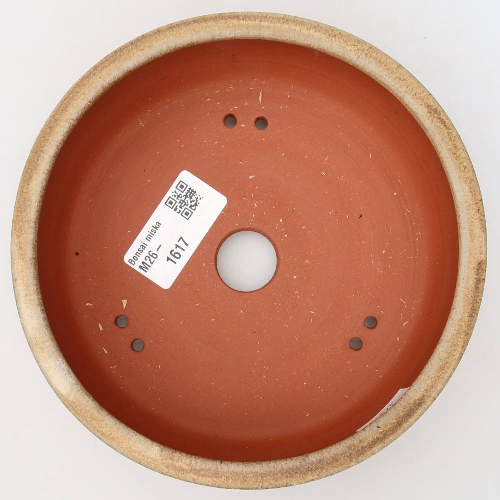Ceramiczna doniczka do bonsai 15,5 x 15,5 x 4,5 cm, kolor brązowy