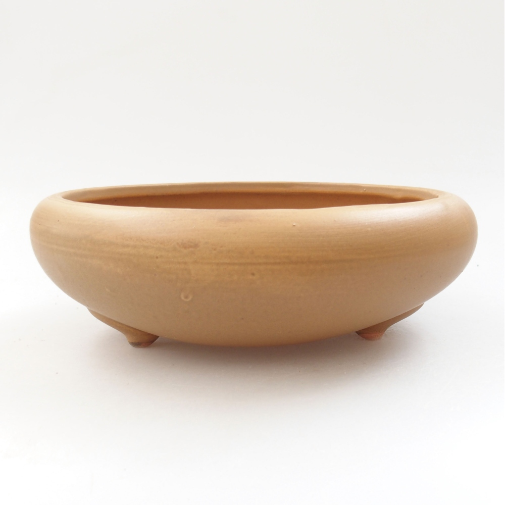 Ceramiczna miska bonsai 21 x 21 x 7,5 cm, kolor beżowy