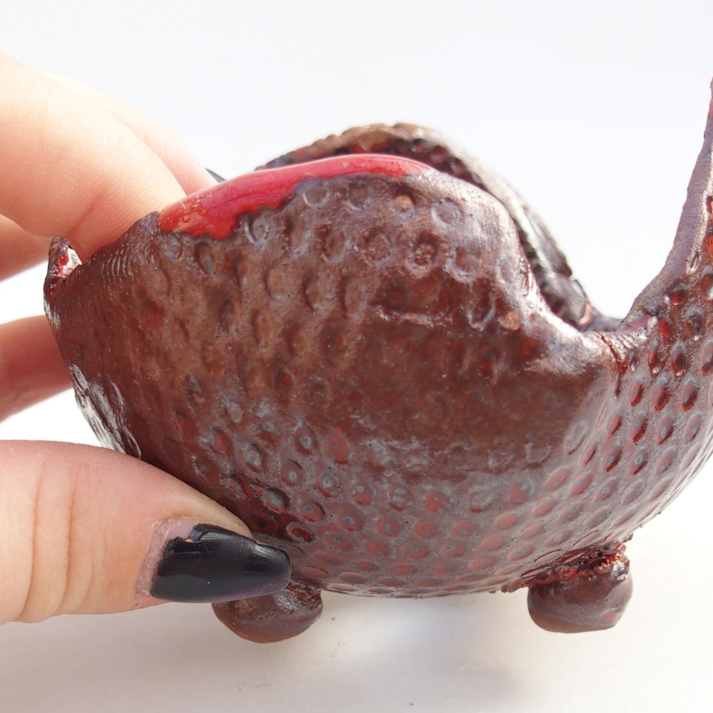 Ceramiczna muszla 9,5 x 9 x 7,5 cm, kolor brązowy