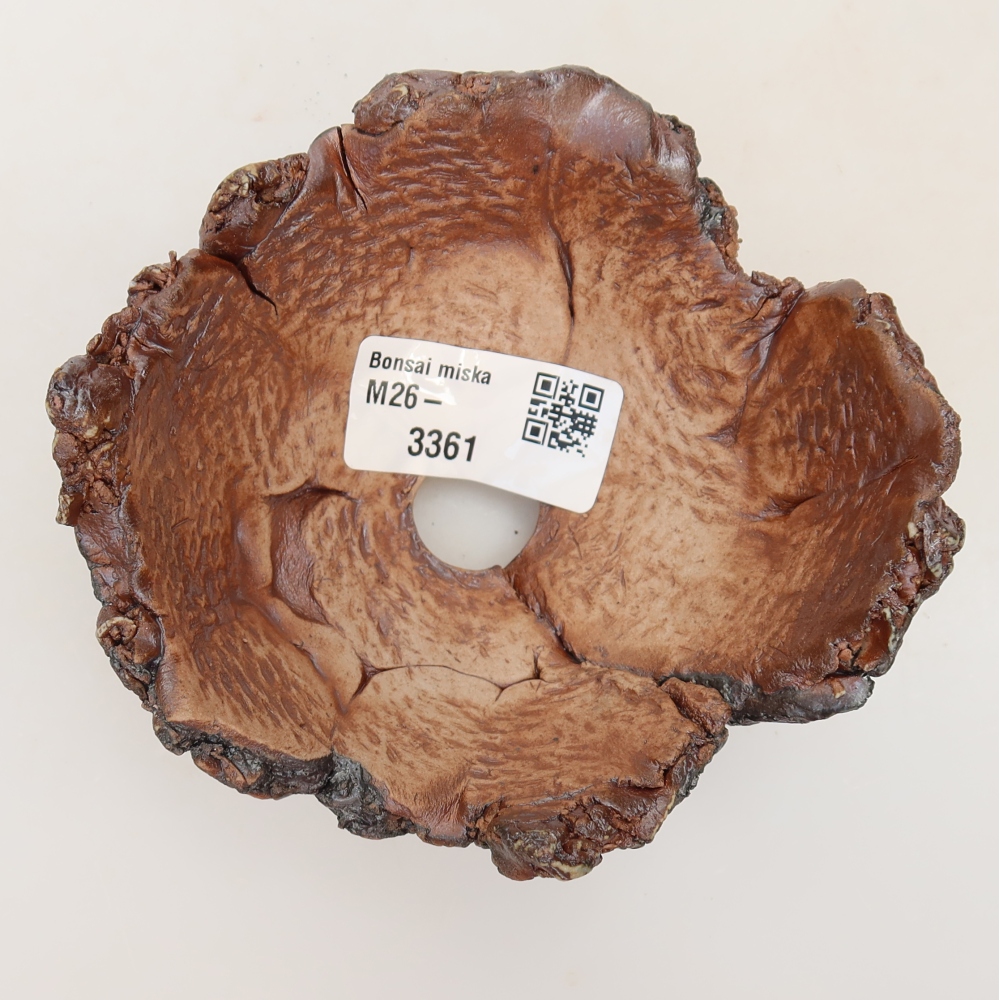 Ceramiczna skorupa 11 x 10,5 x 6 cm, kolor brązowy