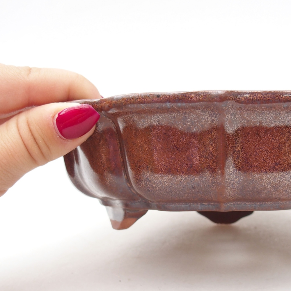 Ceramiczna miska bonsai 18,5 x 18,5 x 5 cm, kolor brązowy