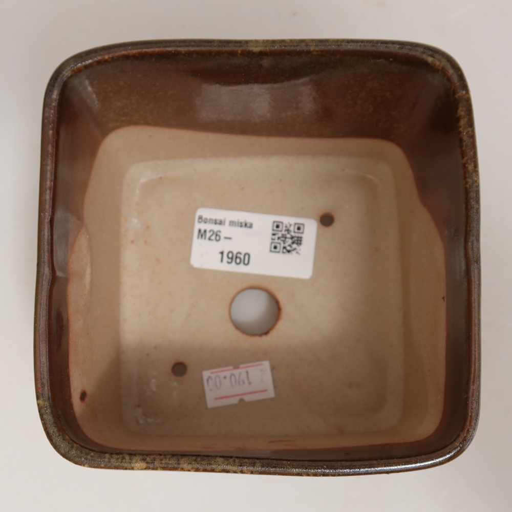 Ceramiczna miska do bonsai 10 x 10 x 8,5 cm, kolor brązowy