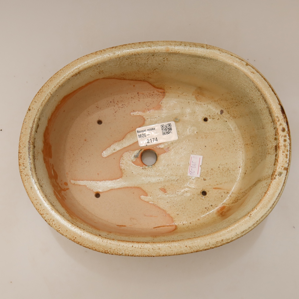 Ceramiczna miska do bonsai 23 x 19 x 8 cm, kolor beżowy