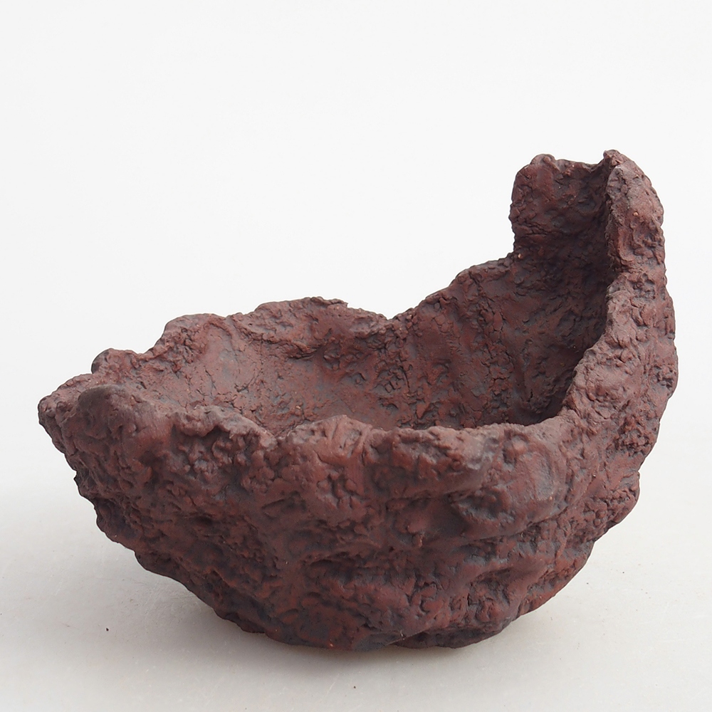 Muszla ceramiczna 10 x 8 x 8,5 cm, kolor brązowy