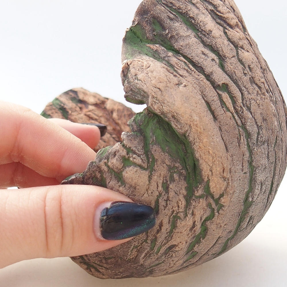 Ceramiczna skorupa 12 x 9,5 x 11 cm, kolor zielony