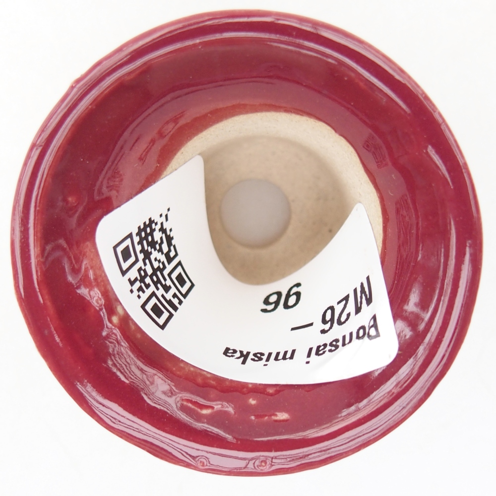 Mini miska do bonsai 4,5 x 4,5 x 4 cm, kolor bordowy