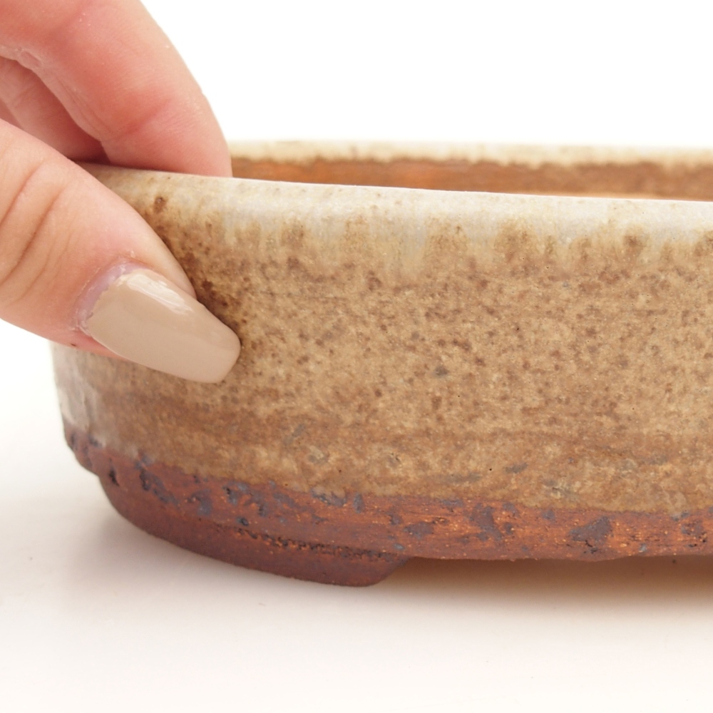 Misa do bonsai 19 x 15,5 x 5,5 cm, kolor beżowy
