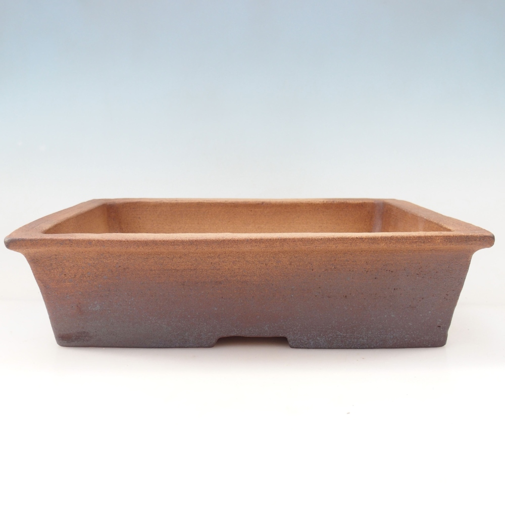 Misa bonsai 35 x 29 x 9 cm, kolor brązowy