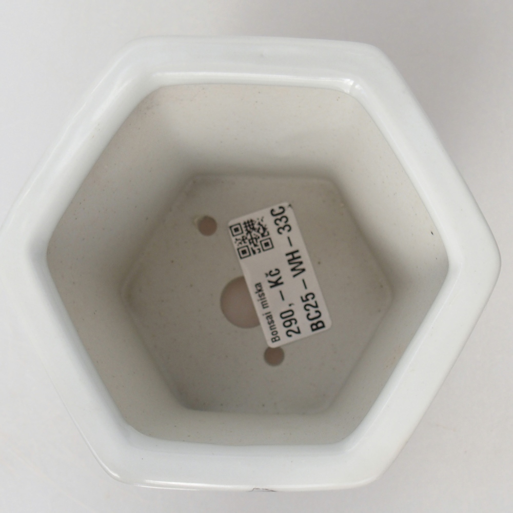 Ceramiczna miska do bonsai 10,5 x 9,5 x 9 cm, kolor biały