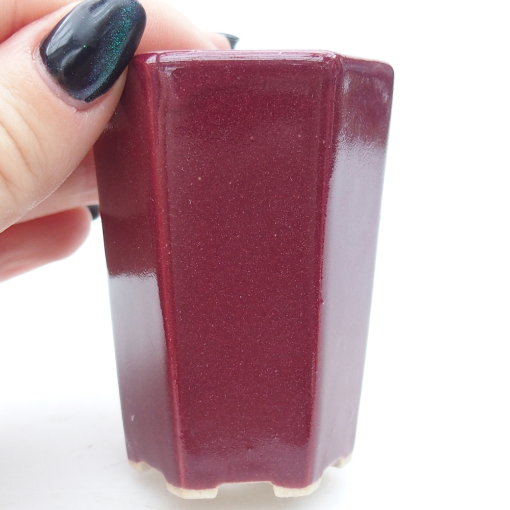 Mini miska do bonsai 5 x 4,5 x 6,5 cm, bordowa