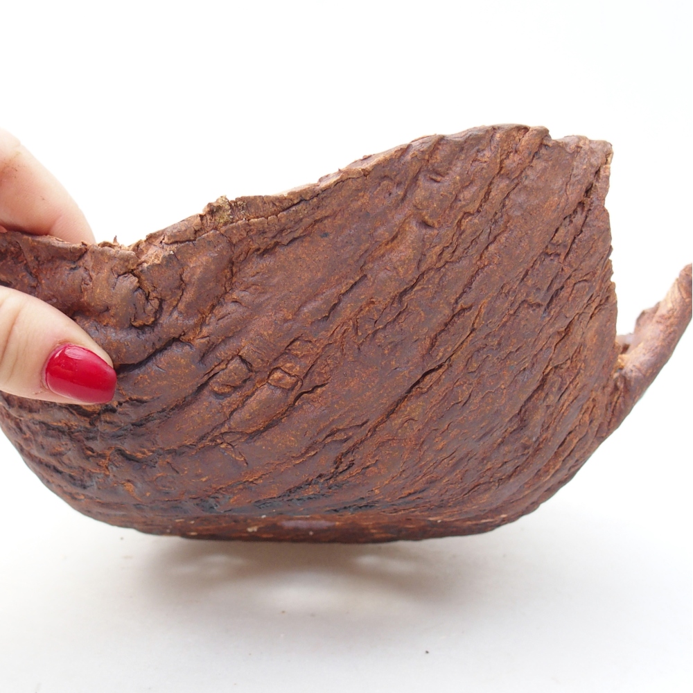 Ceramiczna muszla 20 x 20 x 8 cm, kolor brązowy