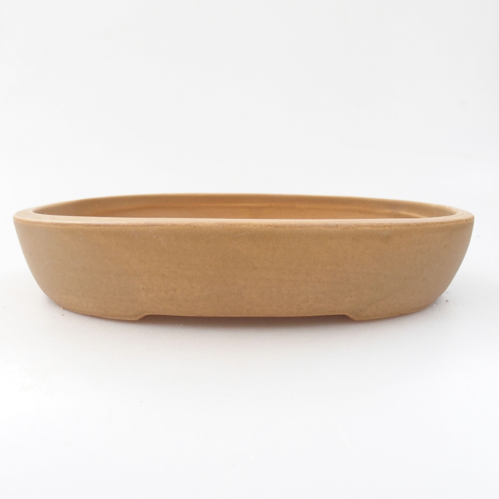 Ceramiczna miska bonsai 22 x 16,5 x 4 cm, kolor beżowy