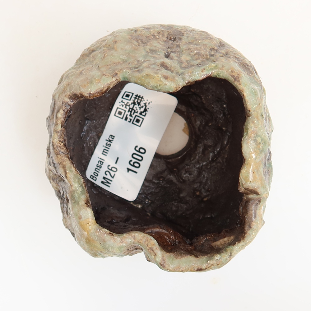 Ceramiczna skorupka  5,5 x 5,5 x 5,5 cm, kolor zielony
