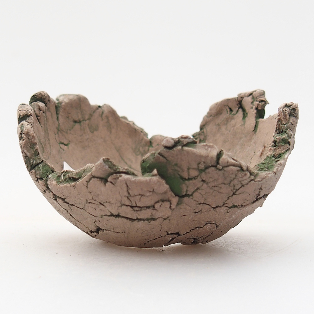 Ceramiczna muszla 7 x 7 x 4 cm, kolor zielony