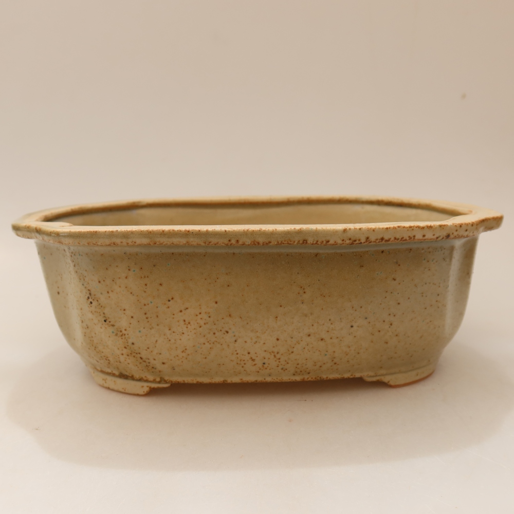 Ceramiczna miska do bonsai 22,5 x 17,5 x 7,5 cm, kolor beżowy