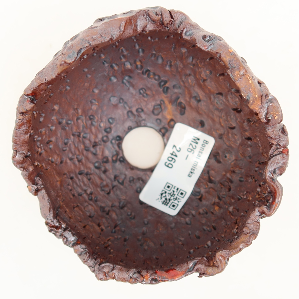 Ceramiczna skorupa  9,5 x 8,5 x 8 cm, kolor metaliczny