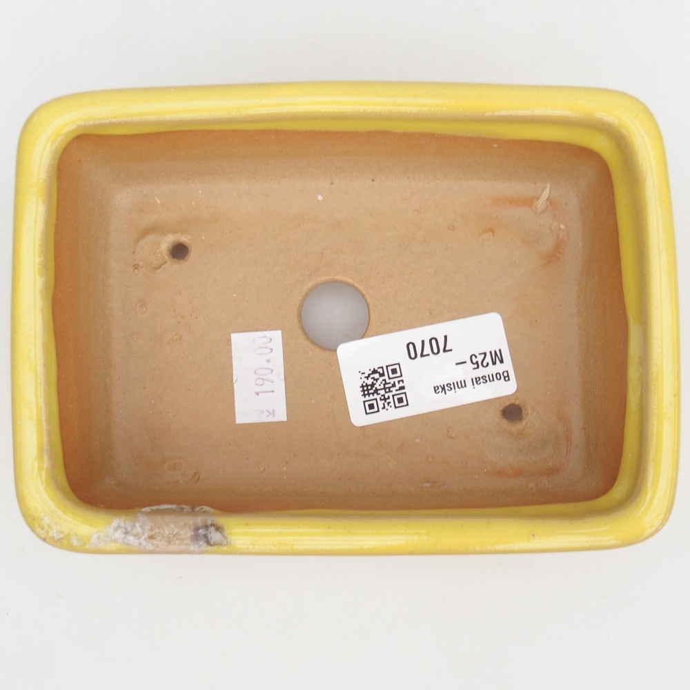 Ceramiczna miska do bonsai 13,5 x 10 x 4,5 cm, żółta