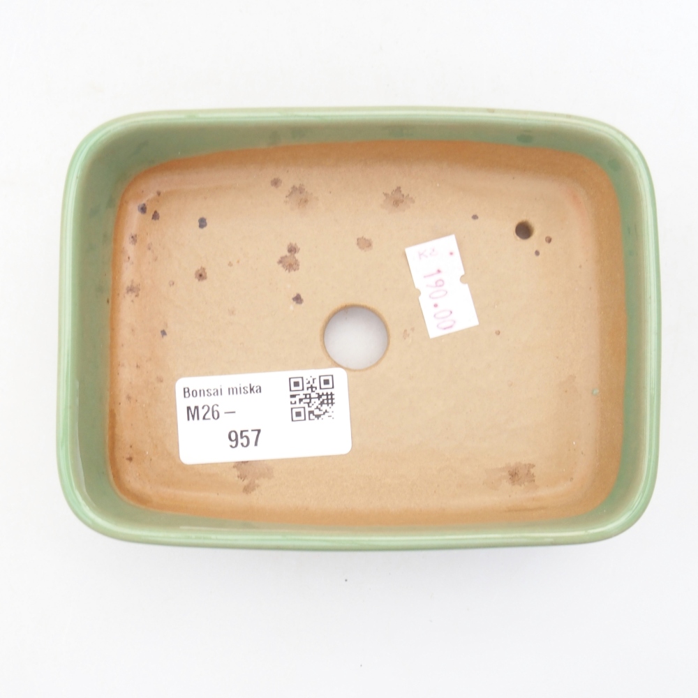 Ceramiczna miska do bonsai 12,5 x 9 x 3,5 cm, zielona