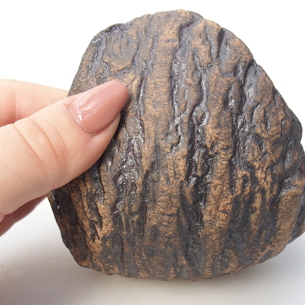 Ceramiczna muszla 10 x 9 x 10 cm, kolor brązowy