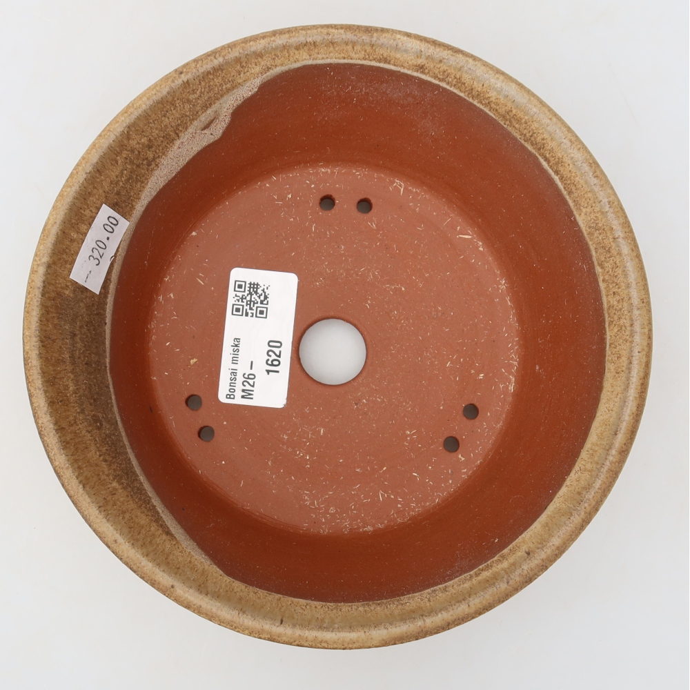 Ceramiczna miska do bonsai 16 x 16 x 5 cm, brązowa