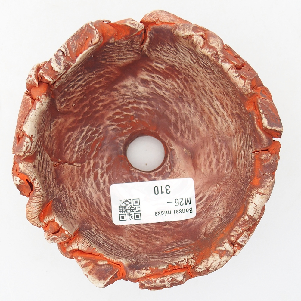 Ceramiczna muszla 11 x 11 x 6,5 cm, kolor pomarańczowy