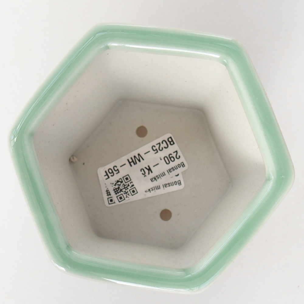 Ceramiczna miska do bonsai 10,5 x 9,5 x 8,5 cm, zielona