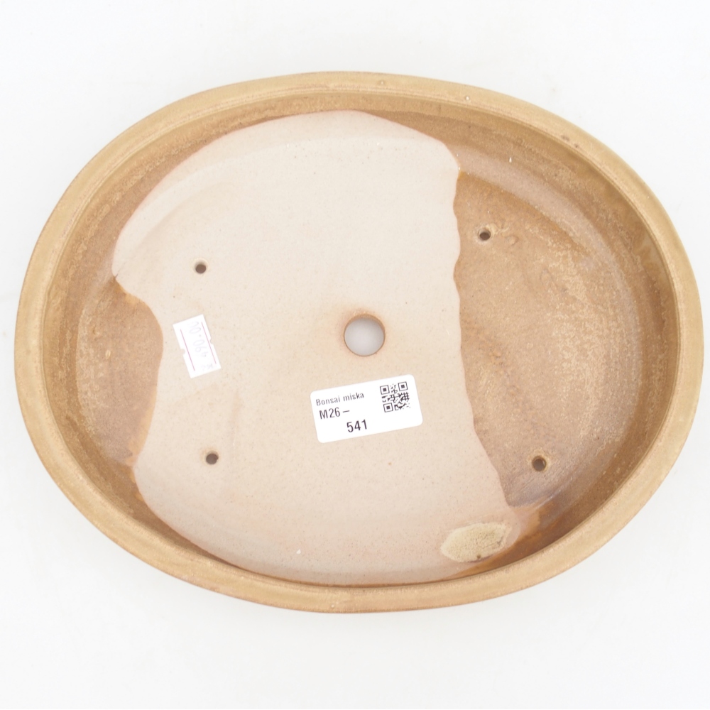 Ceramiczna miska do bonsai 24,5 x 20 x 4 cm, kolor beżowy