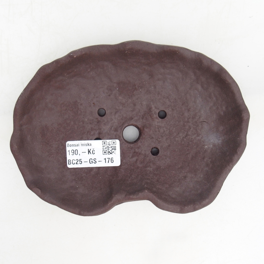 Muszla ceramiczna 17 x 12 x 3 cm, kolor brązowy