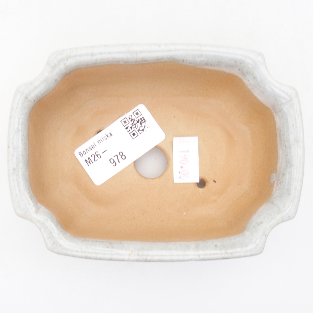 Ceramiczna miska na bonsai 11,5 x 8,5 x 4 cm, kolor beżowy