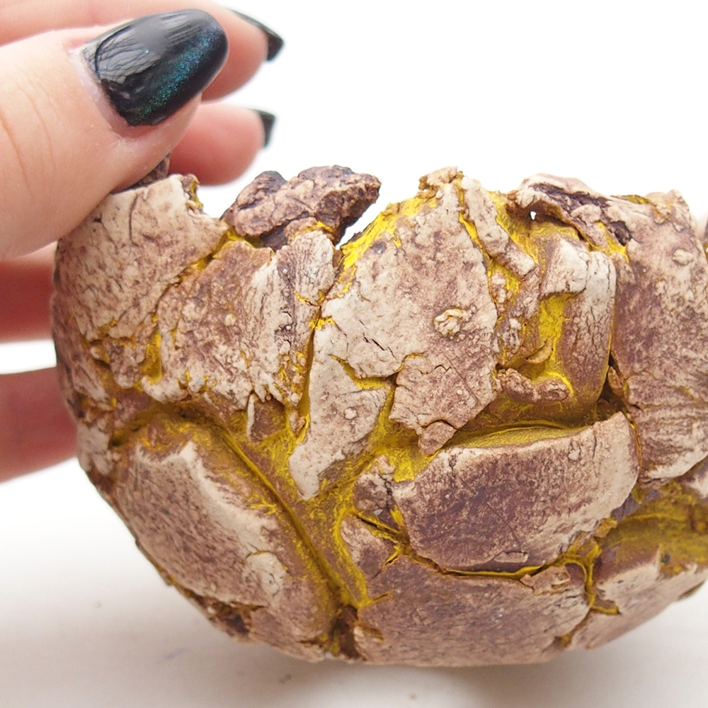 Ceramiczna muszla 9,5 x 9 x 7 cm, kolor żółty