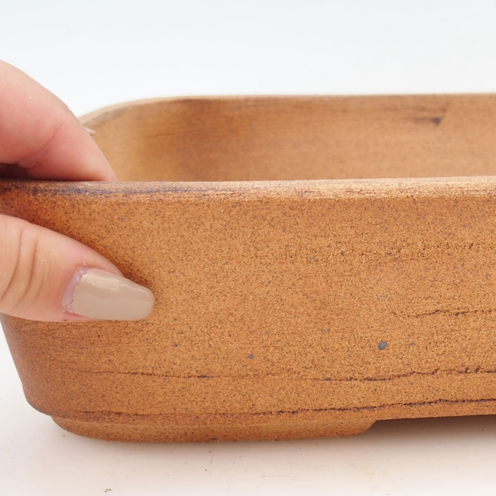 Misa bonsai 30 x 24 x 7 cm, kolor brązowy