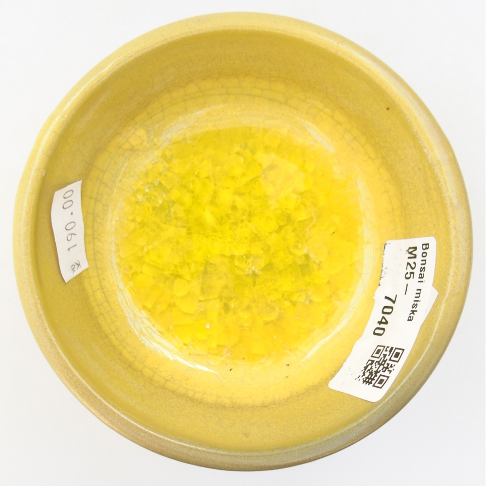 Ceramiczna miska do bonsai 9,5 x 9,5 x 5 cm, żółta