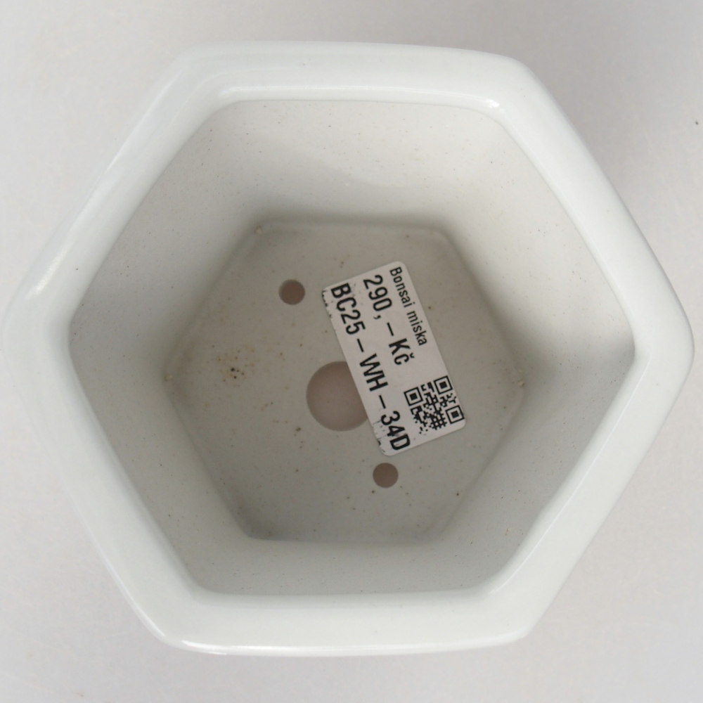Ceramiczna miska do bonsai 10,5 x 9,5 x 9 cm, kolor biały