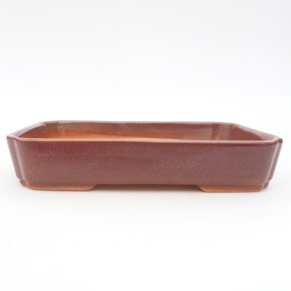 Ceramiczna miska bonsai 18 x 13 x 3 cm, kolor bordowy