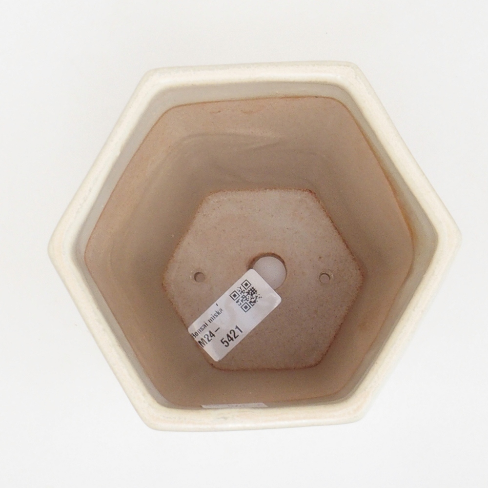 Ceramiczna miska bonsai 12,5 x 11,5 x 16,5 cm, kolor beżowy