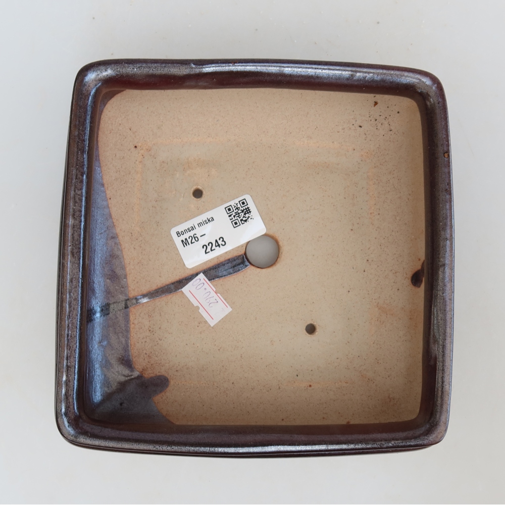 Ceramiczna miska do bonsai 15,5 x 15,5 x 6 cm, brązowa