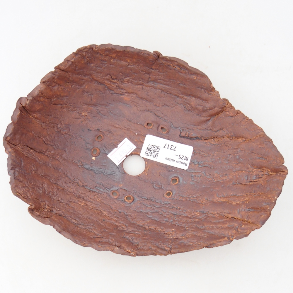 Ceramiczna muszla 20 x 15 x 6 cm, kolor brązowy