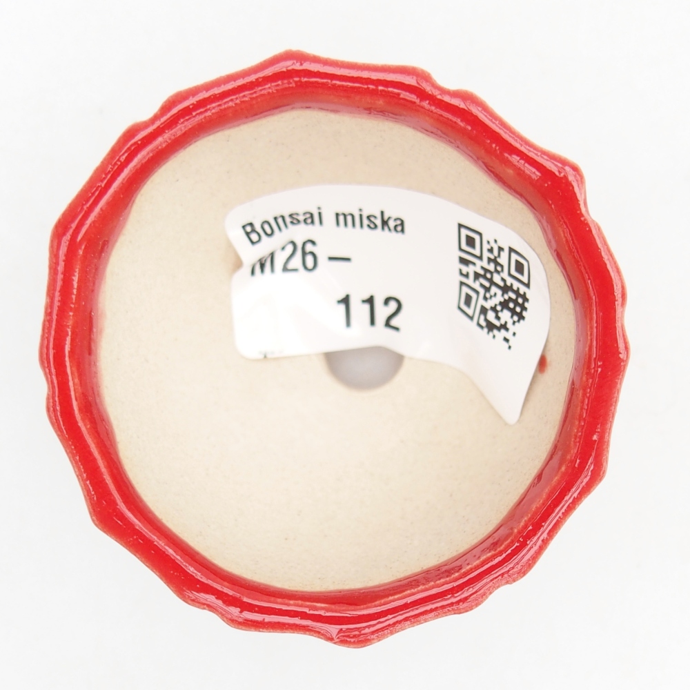 Mini miska do bonsai 5,5 x 5,5 x 3,5 cm, kolor czerwony