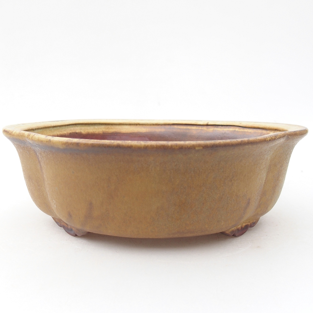 Ceramiczna miska bonsai 19 x 17 x 6 cm, kolor zielony