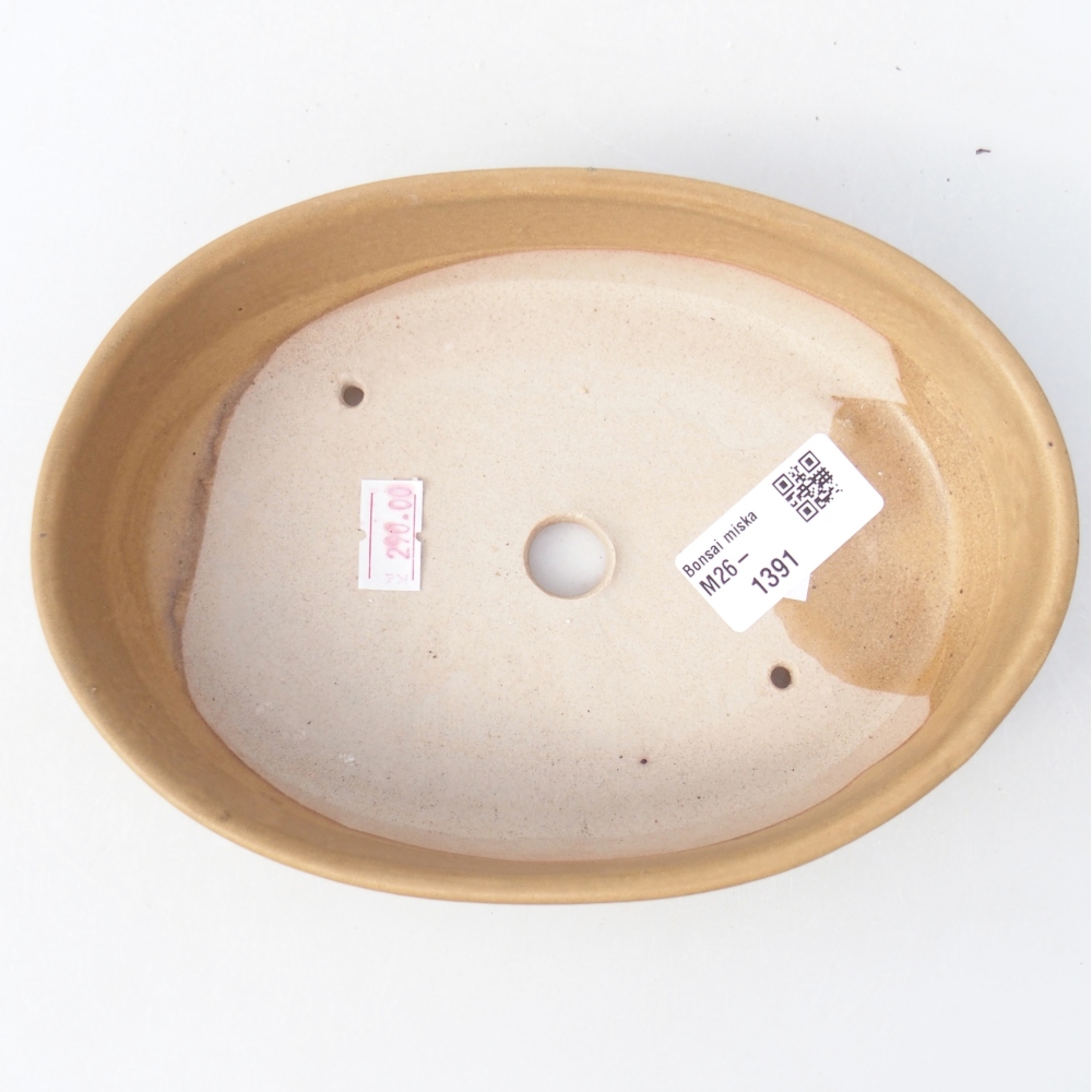 Ceramiczna miska do bonsai 18,5 x 13,5 x 4,5 cm, kolor beżowy