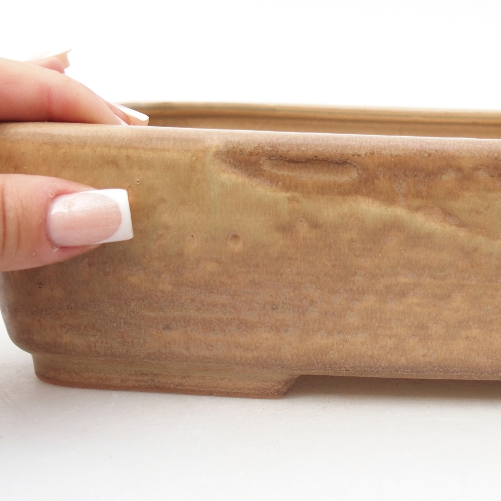Ceramiczna miska do bonsai 26,5 x 20,5 x 6,5 cm, kolor beżowy